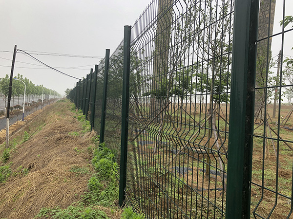 綠化帶護欄網圖片2 綠化帶護欄網圖片2