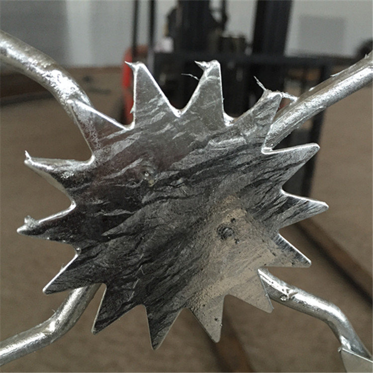 梅花刺隔離網安裝案例展示圖片4 梅花刺隔離網安裝案例展示圖片4