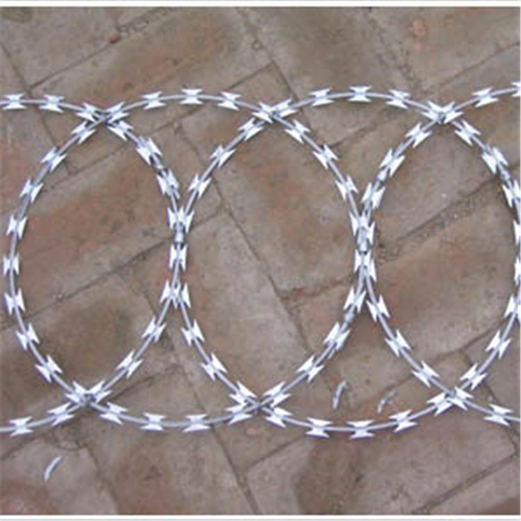 監(jiān)獄鋼網墻刀片刺繩案例展示圖片3 監(jiān)獄鋼網墻刀片刺繩案例展示圖片3