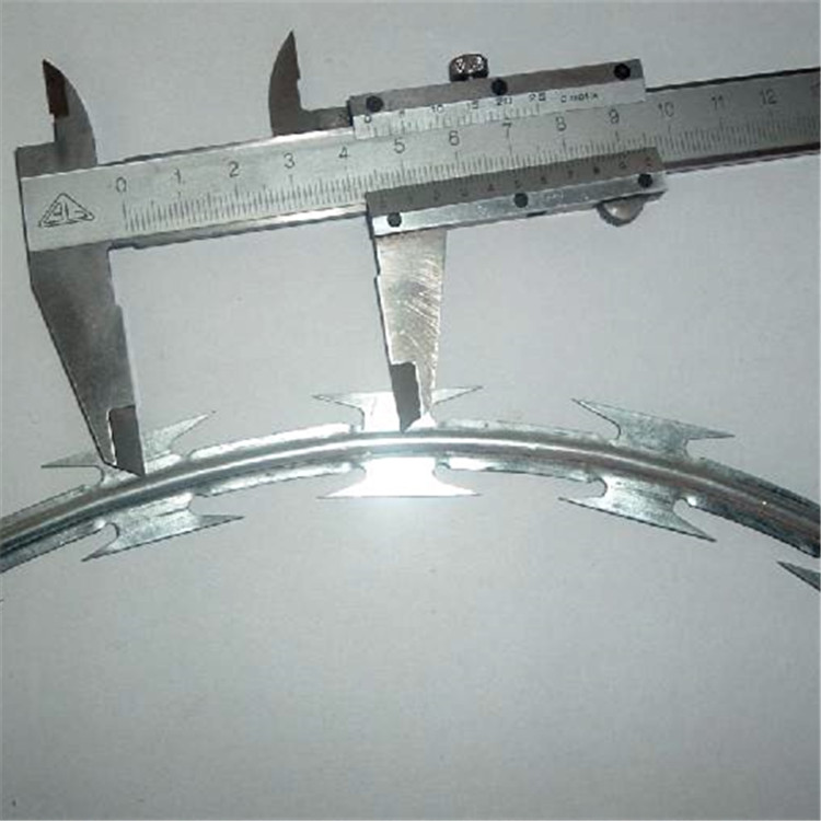 刀刺網(wǎng)BTO-22案例展示圖片4 刀刺網(wǎng)BTO-22案例展示圖片4