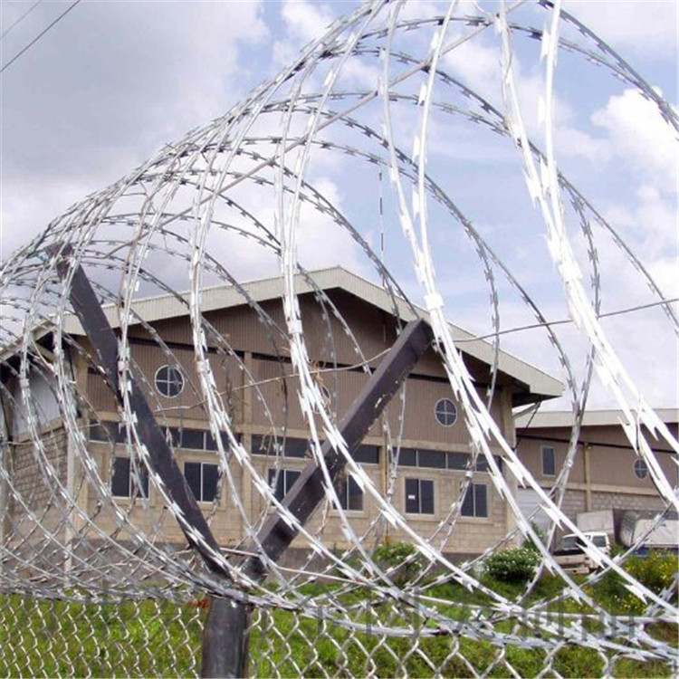 刀刺網案例展示圖片3